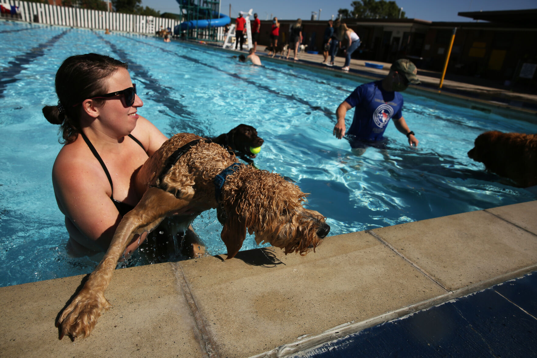 091320-news-dogsplash 5.jpg